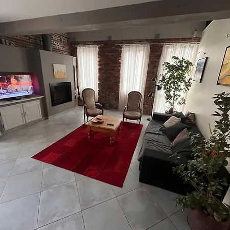 Willa Magnifique Maison Toulousaine Tuluza