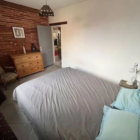 Magnifique Maison Toulousaine *