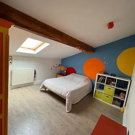 Magnifique Maison Toulousaine *