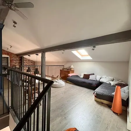 别墅 Magnifique Maison Toulousaine