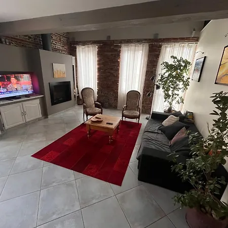 Magnifique Maison Toulousaine * Toulouse