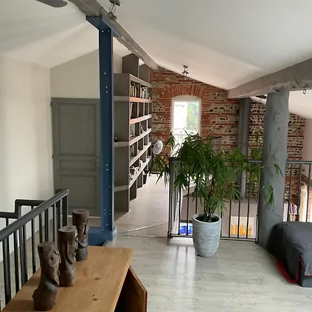 别墅 Magnifique Maison Toulousaine