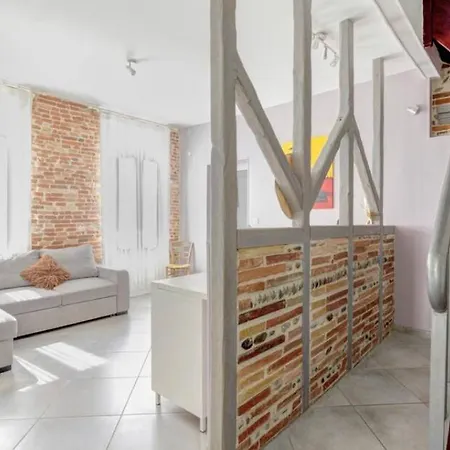 Magnifique Maison Toulousaine 别墅