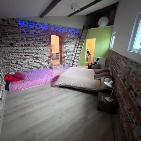 Magnifique Maison Toulousaine