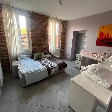 Magnifique Maison Toulousaine *