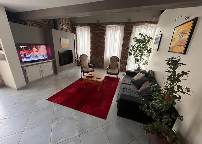 Villa Magnifique Maison Toulousaine Toulouse