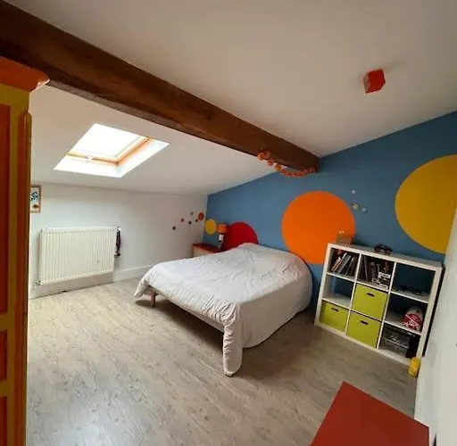 Magnifique Maison Toulousaine *