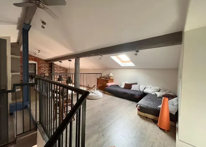 Villa Magnifique Maison Toulousaine