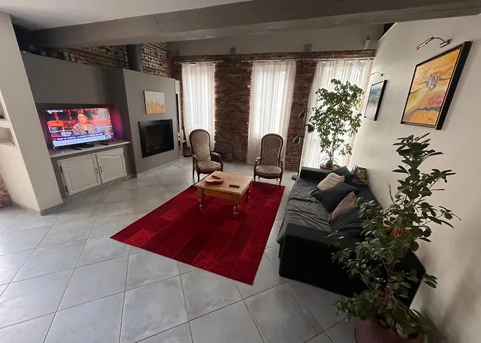 Magnifique Maison Toulousaine * Toulouse