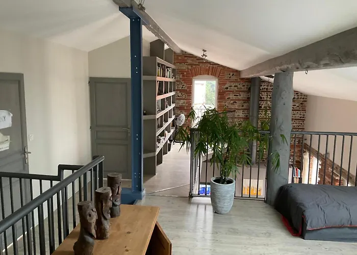 Villa Magnifique Maison Toulousaine