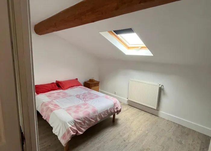 Villa Magnifique Maison Toulousaine *