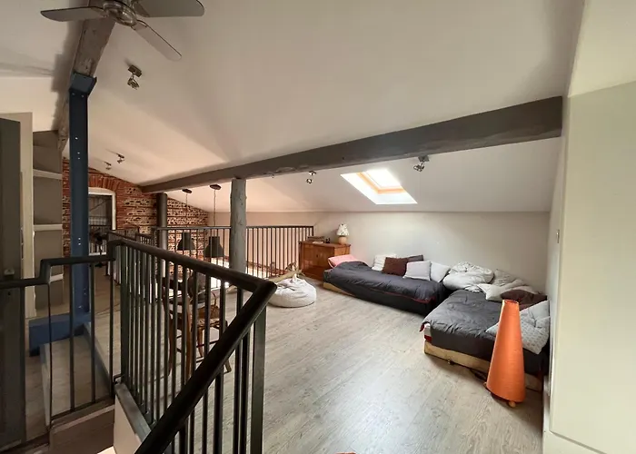 Magnifique Maison Toulousaine