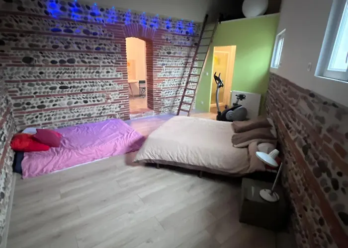 Magnifique Maison Toulousaine