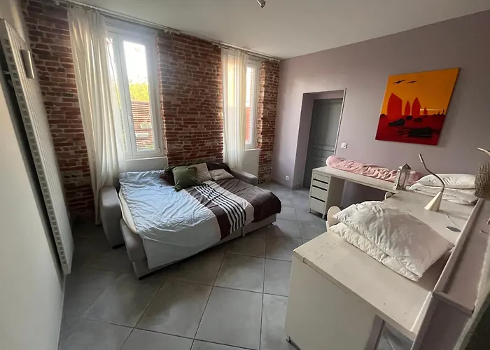 Magnifique Maison Toulousaine *