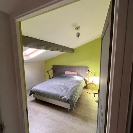 Magnifique Maison Toulousaine فيلة *